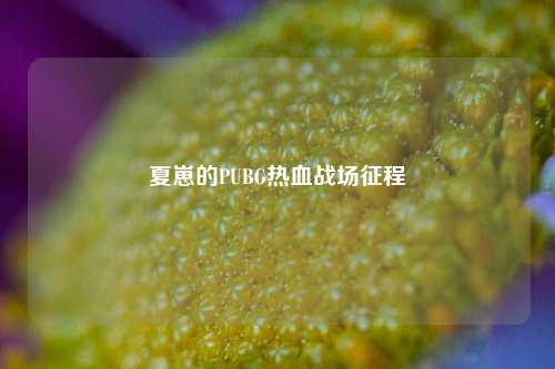 夏崽的PUBG热血战场征程