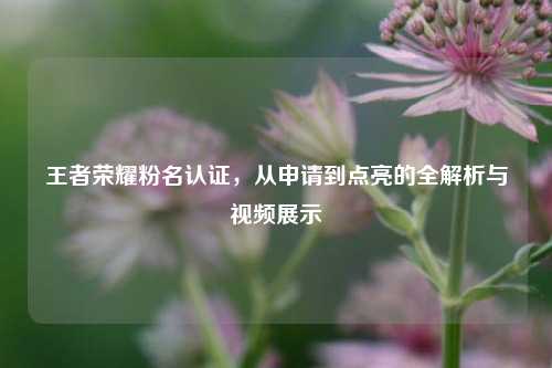 王者荣耀粉名认证，从申请到点亮的全解析与视频展示