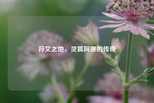 符文之地，灵狐阿狸的传奇