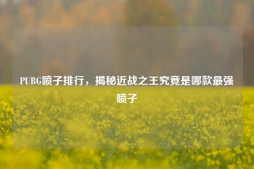 PUBG喷子排行,揭秘近战之王究竟是哪款最强喷子
