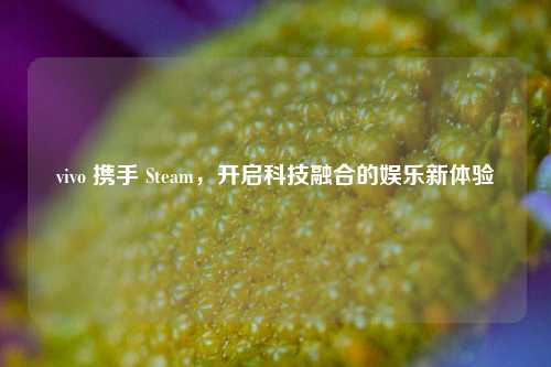 vivo 携手 Steam，开启科技融合的娱乐新体验