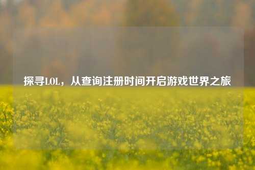 探寻LOL,从查询注册时间开启游戏世界之旅
