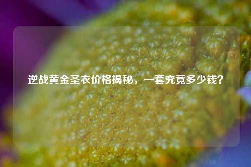 逆战黄金圣衣价格揭秘，一套究竟多少钱？