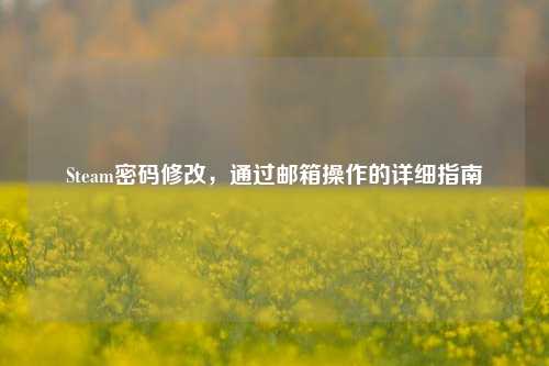 Steam密码修改,通过邮箱操作的详细指南