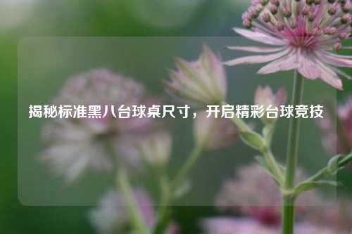 揭秘标准黑八台球桌尺寸，开启精彩台球竞技