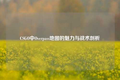 CSGO中Overpass地图的魅力与战术剖析