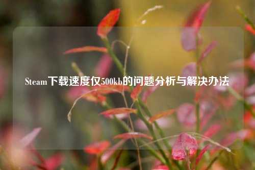 Steam下载速度仅500kb的问题分析与解决办法