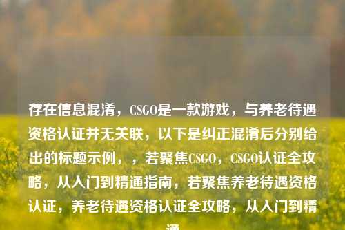 存在信息混淆,CSGO是一款游戏,与养老待遇资格认证并无关联,以下是纠正混淆后分别给出的标题示例,,若聚焦CSGO,CSGO认证全攻略,从入门到精通指南,若聚焦养老待遇资格认证,养老待遇资格认证全攻略,从入门到精通