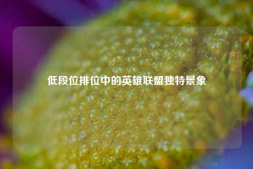 低段位排位中的英雄联盟独特景象