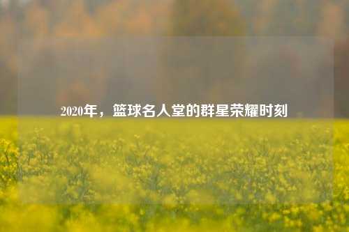 2020年，篮球名人堂的群星荣耀时刻