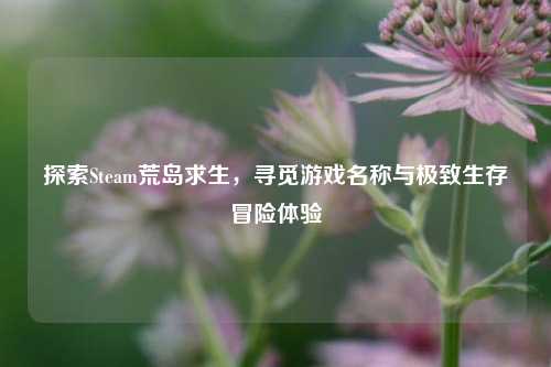 探索Steam荒岛求生，寻觅游戏名称与极致生存冒险体验