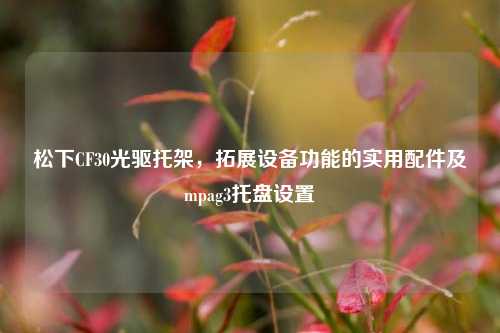 松下CF30光驱托架,拓展设备功能的实用配件及mpag3托盘设置