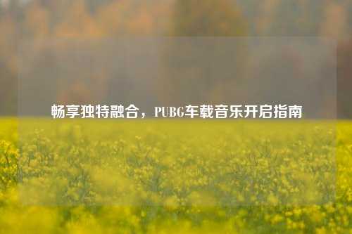 畅享独特融合,PUBG车载音乐开启指南