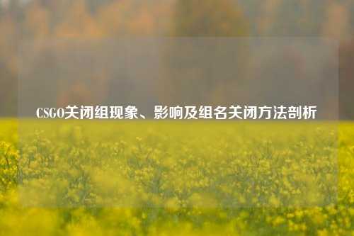 CSGO关闭组现象、影响及组名关闭方法剖析