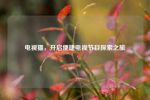 电视猫，开启便捷电视节目探索之旅