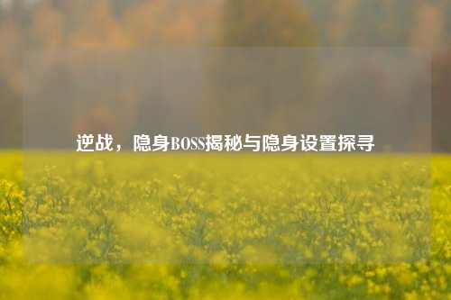 逆战，隐身BOSS揭秘与隐身设置探寻