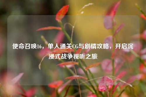 使命召唤16,单人通关CG与剧情攻略,开启沉浸式战争视听之旅