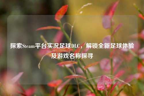 探索Steam平台实况足球DLC,解锁全新足球体验及游戏名称探寻