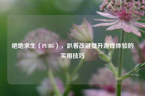 绝地求生(PUBG),趴着改键提升游戏体验的实用技巧