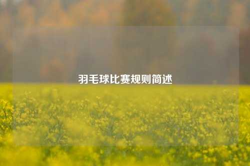 羽毛球比赛规则简述