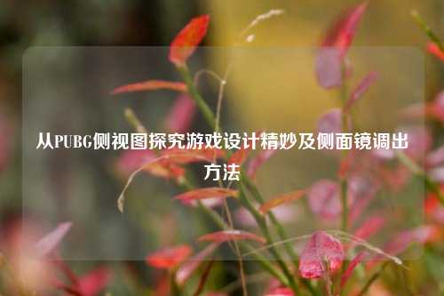从PUBG侧视图探究游戏设计精妙及侧面镜调出方法