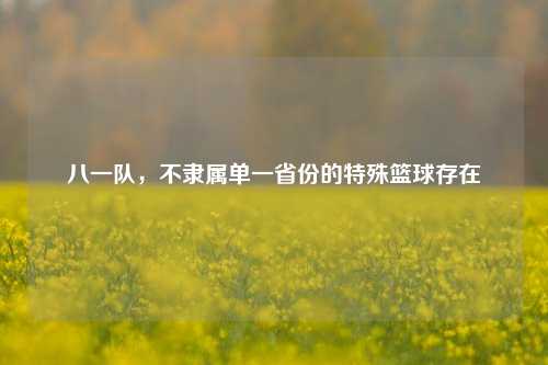 八一队,不隶属单一省份的特殊篮球存在