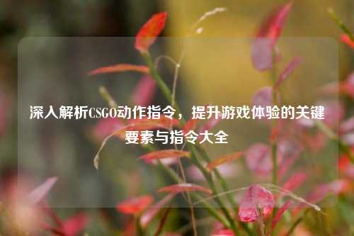 深入解析CSGO动作指令,提升游戏体验的关键要素与指令大全