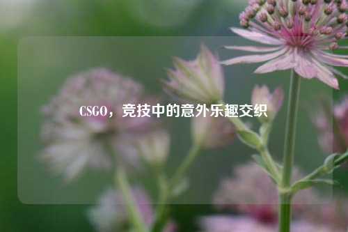 CSGO，竞技中的意外乐趣交织