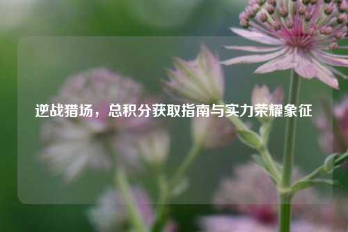 逆战猎场,总积分获取指南与实力荣耀象征
