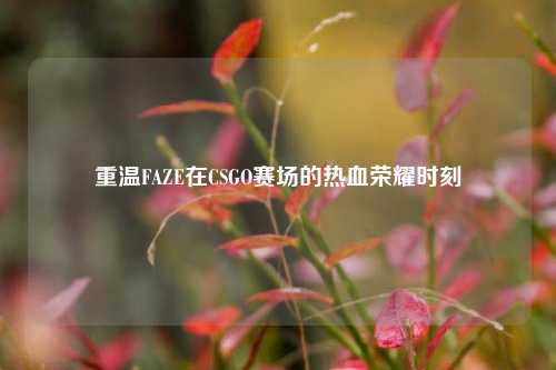 重温FAZE在CSGO赛场的热血荣耀时刻