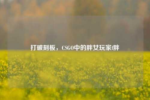 打破刻板,CSGO中的胖女玩家f胖