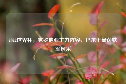 2022世界杯,克罗地亚主力阵容,巴尔干绿茵铁军风采