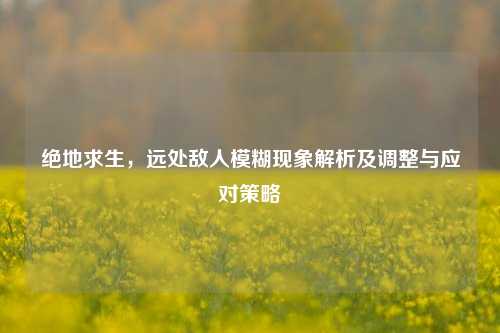 绝地求生,远处敌人模糊现象解析及调整与应对策略