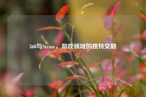 360与Steam，游戏领域的独特交融