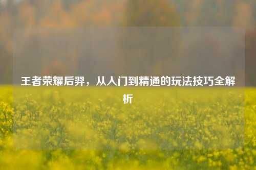 王者荣耀后羿,从入门到精通的玩法技巧全解析