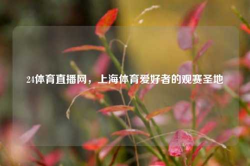 24体育直播网,上海体育爱好者的观赛圣地