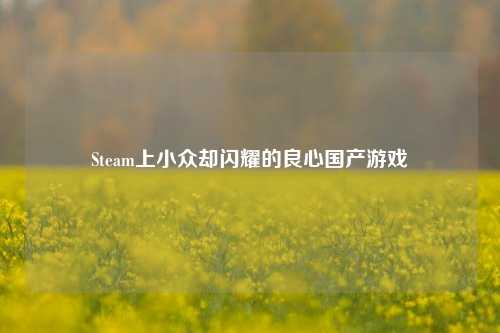 Steam上小众却闪耀的良心国产游戏