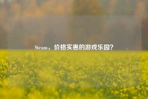 Steam，价格实惠的游戏乐园？