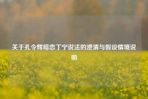 关于孔令辉暗恋丁宁说法的澄清与假设情境说明