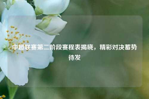 中超联赛第二阶段赛程表揭晓，精彩对决蓄势待发