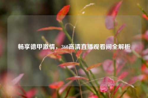 畅享德甲激情，360高清直播观看间全解析