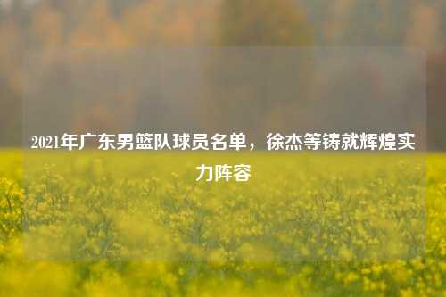 2021年广东男篮队球员名单,徐杰等铸就辉煌实力阵容