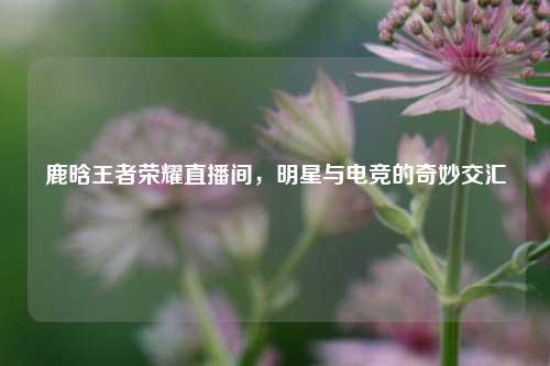 鹿晗王者荣耀直播间，明星与电竞的奇妙交汇