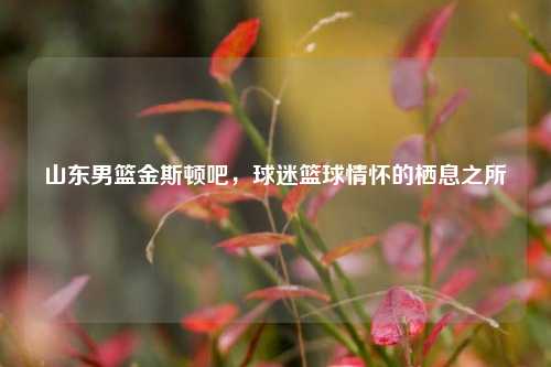 山东男篮金斯顿吧，球迷篮球情怀的栖息之所