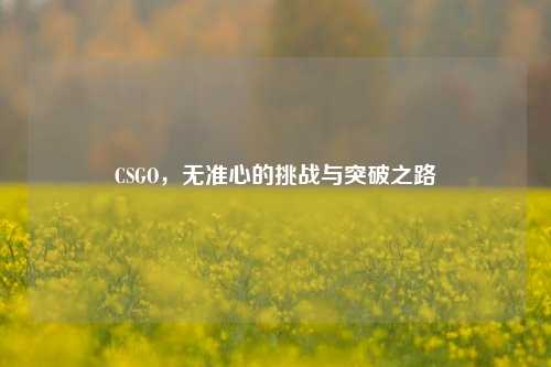 CSGO，无准心的挑战与突破之路