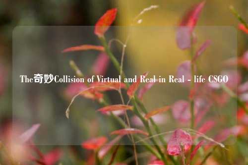The奇妙Collision of Virtual and Real in Real - life CSGO