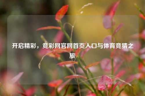 开启精彩，竞彩网官网首页入口与体育竞猜之旅