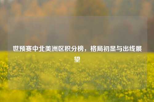 世预赛中北美洲区积分榜，格局初显与出线展望