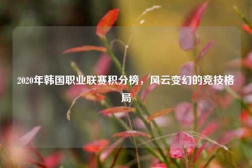 2020年韩国职业联赛积分榜，风云变幻的竞技格局