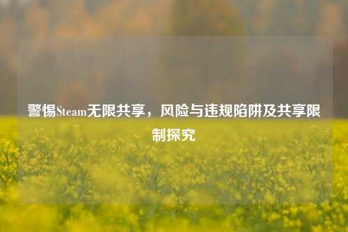 警惕Steam无限共享，风险与违规陷阱及共享限制探究
